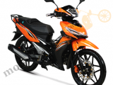 Rks Easy Pro 50 Arka Disk